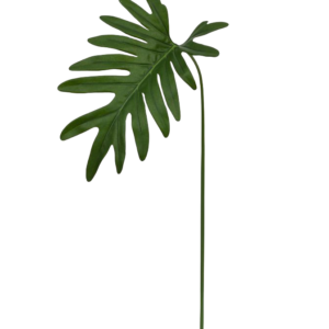 Philo Xanadu blad 55 cm