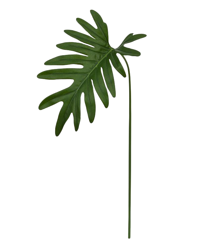 Philo Xanadu blad 55 cm 1 Philo Xanadu blad 55 cm
