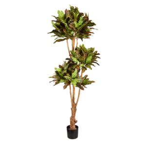 Croton bonsai deluxe kunstboom 175cm