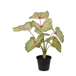 Caladium white queen kunstplant 45cm