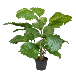 Tetrastigma kunstplant 40cm