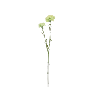 Anjer Kunsttak 61cm Groen