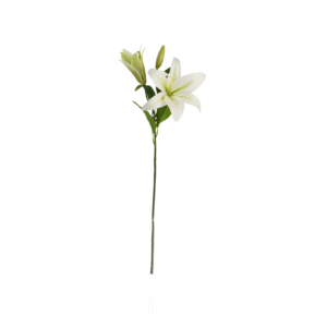 Casablanca Kunst Lelie 70cm creme