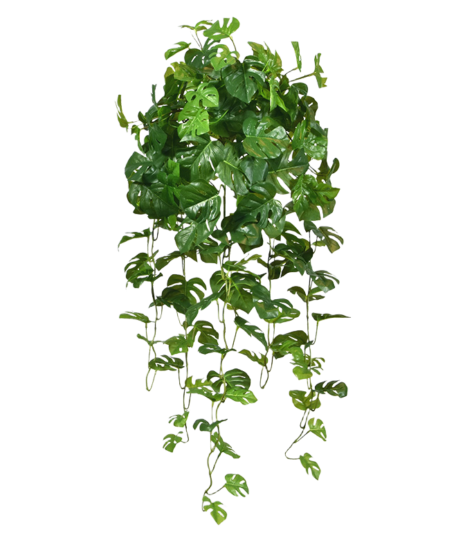 Monstera kunst hangplant 80cm - groen 1 Monstera kunst hangplant 80cm - groen