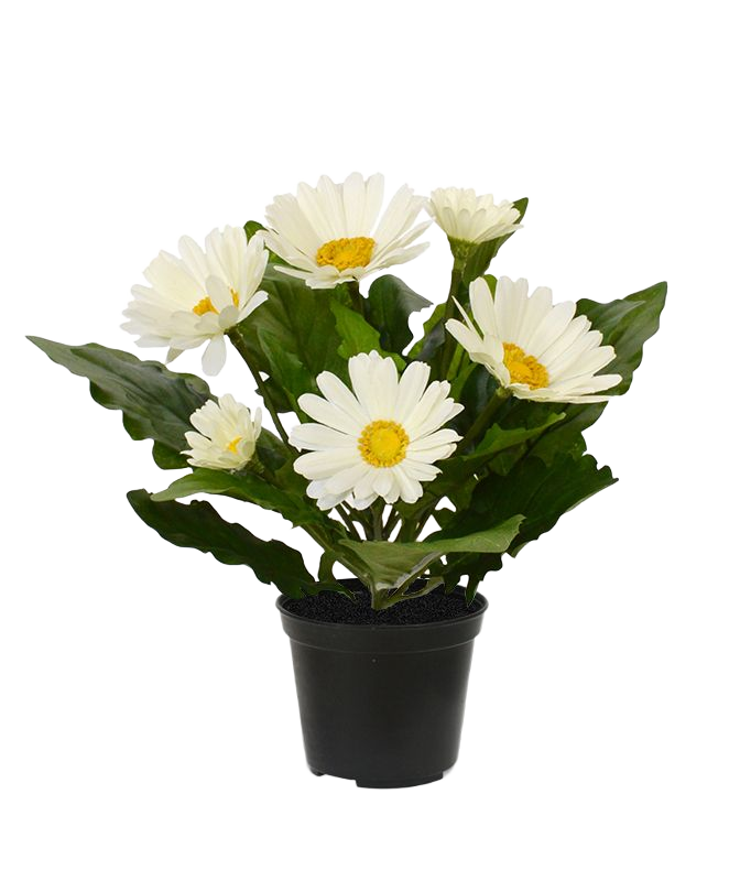 Gerbera kunstplant in pot 30cm - creme 1 Gerbera kunstplant in pot 30cm - creme