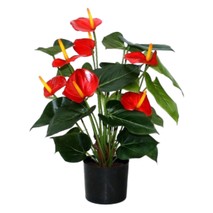 Anthurium deluxe kunstplant 50cm - rood