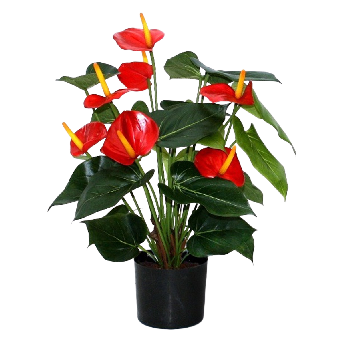 Anthurium deluxe kunstplant 50cm - rood 1 Anthurium deluxe kunstplant 50cm - rood
