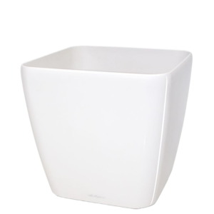 Lechuza Quadro sierpot 21x21x20 cm wit