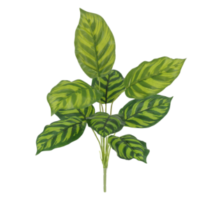 Calathea Maranta Kunstplant 40cm