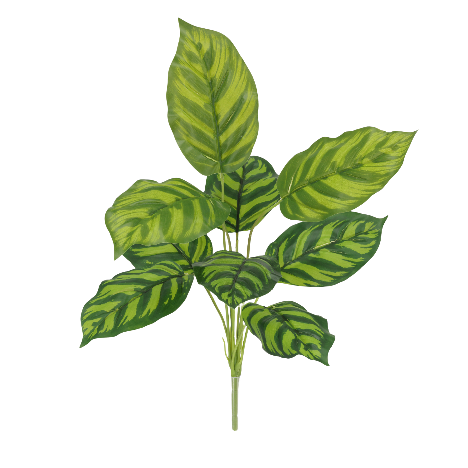 Calathea Maranta Kunstplant 40cm 1 Calathea Maranta Kunstplant 40cm