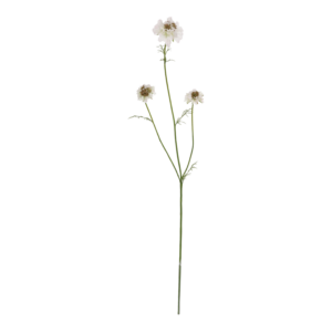 Scabiosa Kunstbloem 77cm Creme