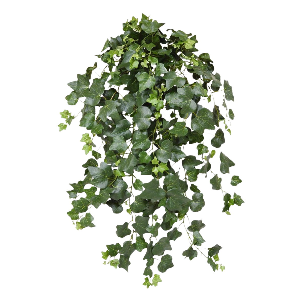 Hedera kunst hangplant 75cm - groen - FR - brandvertragend 1 Hedera kunst hangplant 75cm - groen - FR - brandvertragend