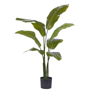 Traveller Palm promo 120cm