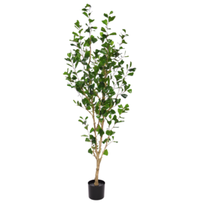 Ficus Triangularis Kunstboom 180cm