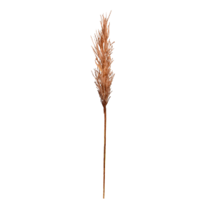 Kunst Pampaspluim 80 cm zalm