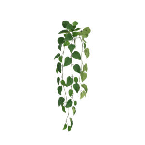 Philodendron FR Kunsthanger 85cm