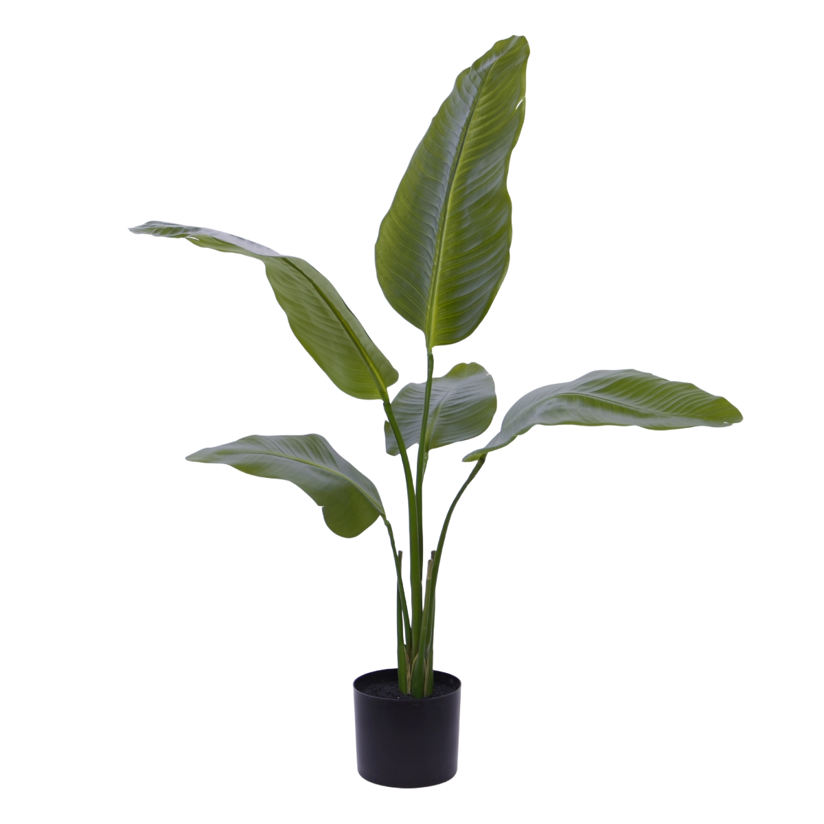Strelitzia Nicolai kunstplant 90cm 1 Strelitzia Nicolai kunstplant 90cm