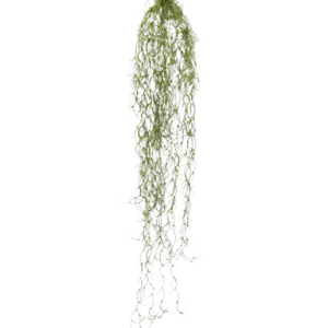 Tillandsia kunsthanger 75cm