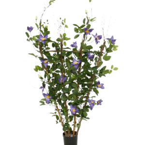 Clematis kunstheg 125cm - paars