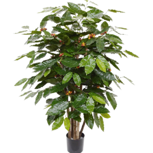 Coffee Arabica kunstplant 100cm