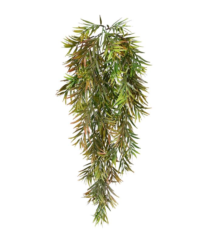 Asparagus Sprengeri kunst hangplant 60cm 1 Asparagus Sprengeri kunst hangplant 60cm