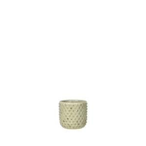 Pot Bolino mint D8 H8 mini