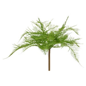 Asparagus Varen Kunstplant 30cm