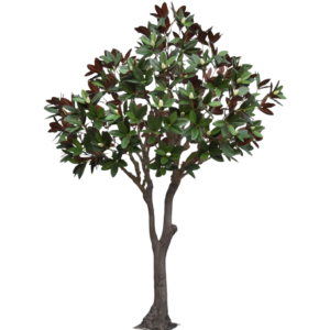 Magnolia kunstboom 300cm