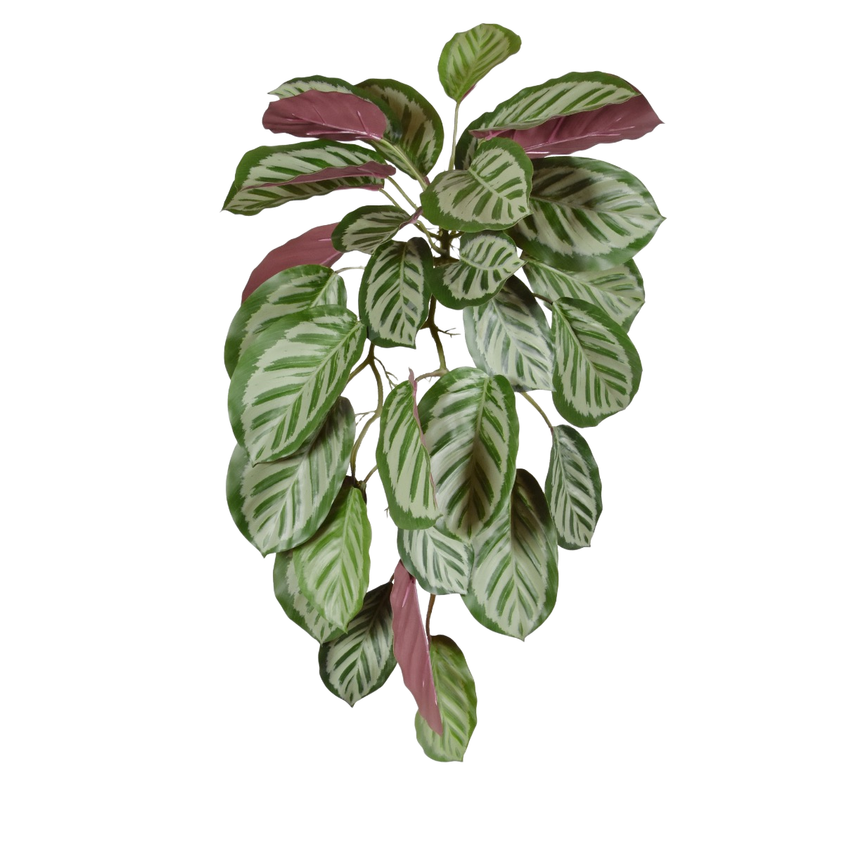 Calathea red Roseopicta kunst hangplant 70cm 1 Calathea red Roseopicta kunst hangplant 70cm