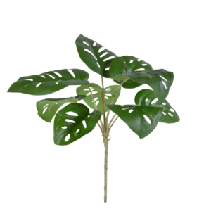 Monstera Adonsonii kunstplant 30cm