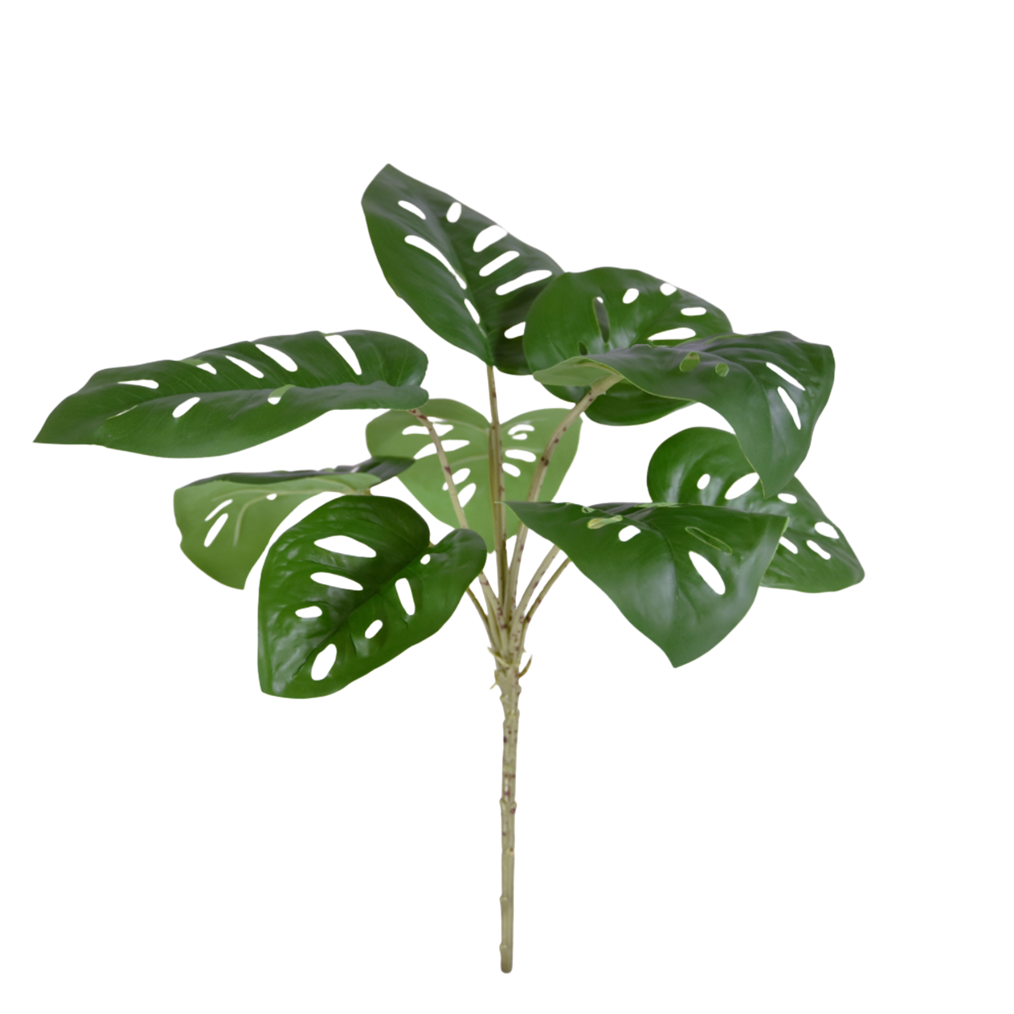 Monstera Adonsonii kunstplant 30cm 1 Monstera Adonsonii kunstplant 30cm