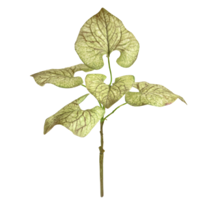 Brunnera kunsttak 35cm groen-bruin