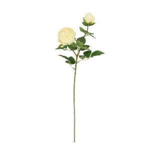 Engelse Tuinrozen Kunsttak 69cm Creme/groen