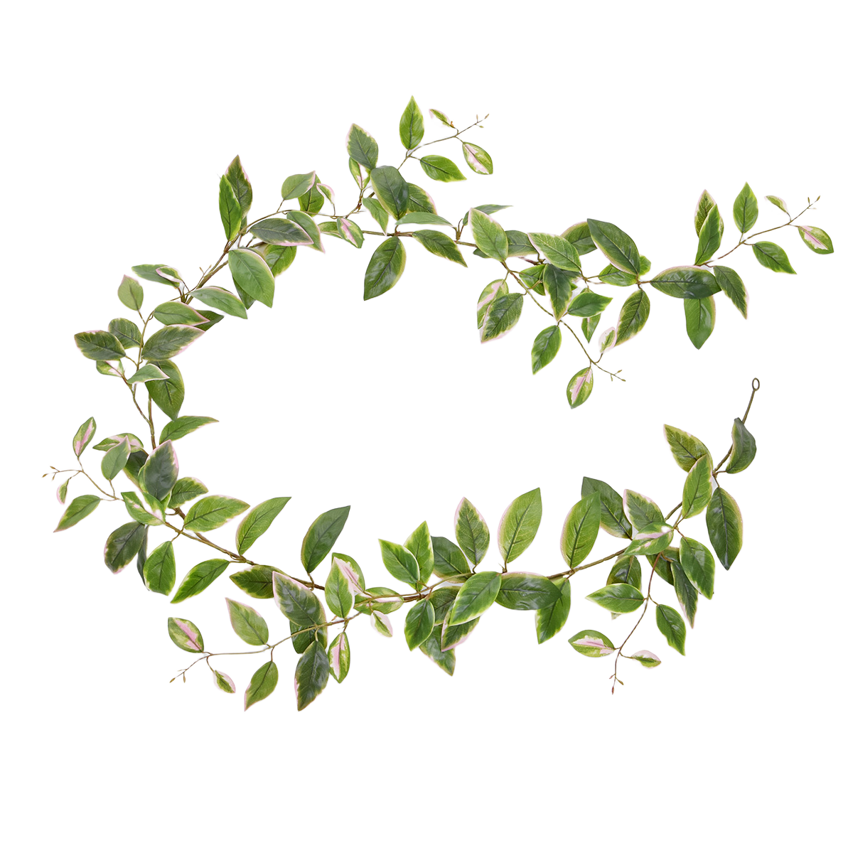 Hoya Carnosa Kunst Guirlande 180cm bont 1 Hoya Carnosa Kunst Guirlande 180cm bont