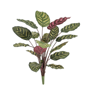 Red Calathea Makoyana FR Kunstplant 60cm