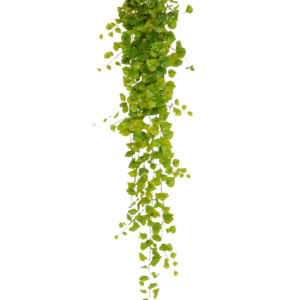 Populier kunst hangplant 170cm