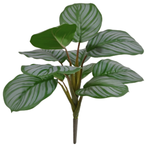 Calathea Orbifolia kunstplant 30cm - groen/grijs