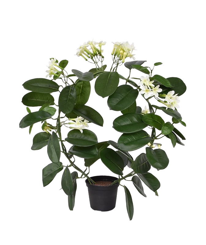 Stephanotis kunstplant 40cm 1 Stephanotis kunstplant 40cm