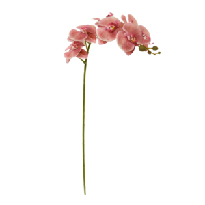 Phalaenopsis Kunstbloem 95cm Zalm