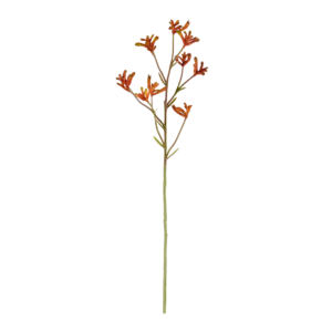 Kangaroepoot tak 70cm - oranje