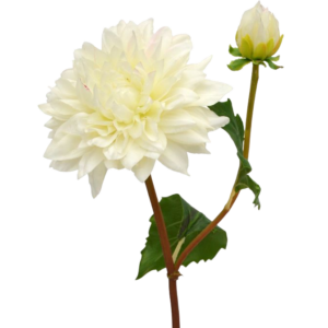 Dahlia kunsttak 50 cm creme