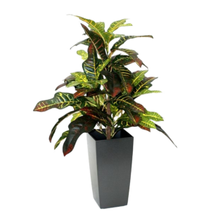 Croton Window kunstplant 50cm