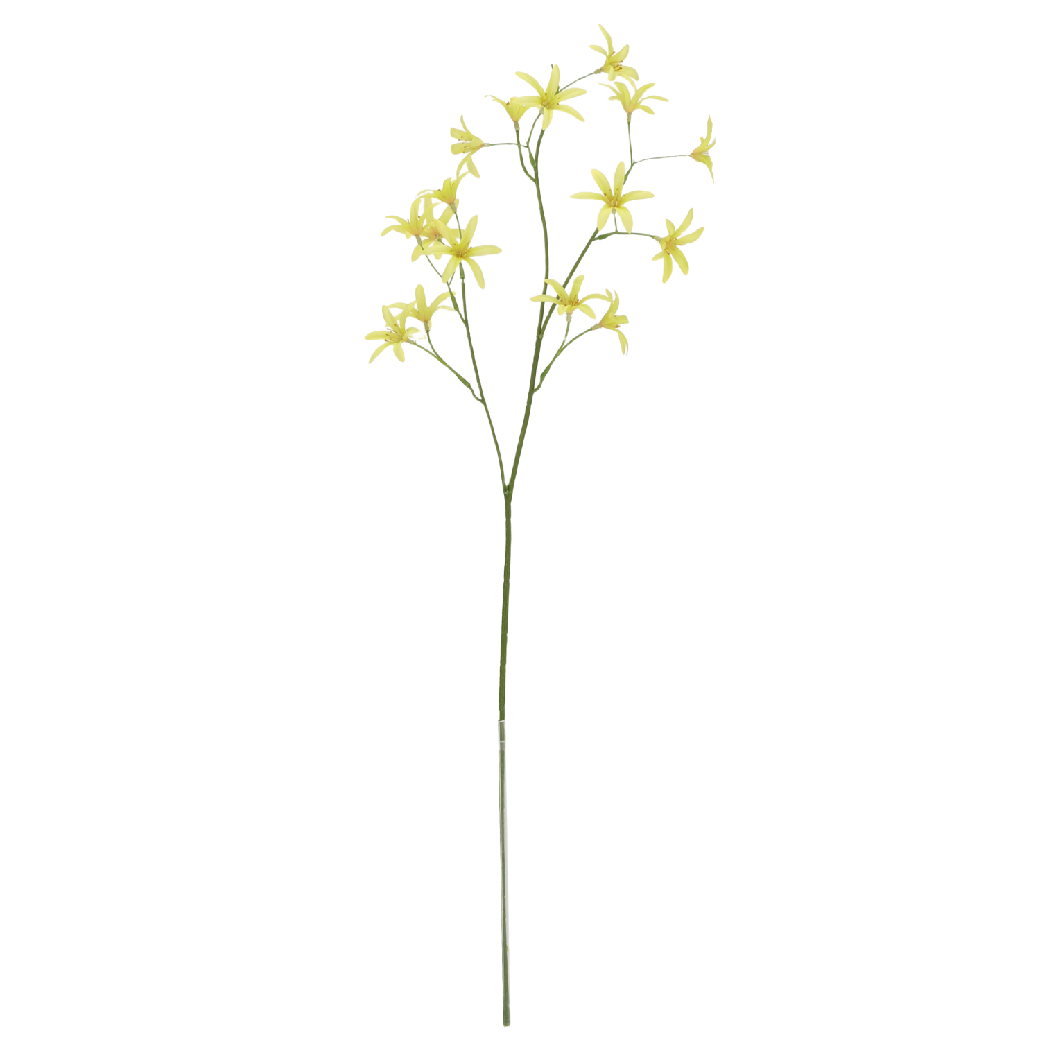 Tweedia Oxypetalum Kunsttak 68cm Groen 1 Tweedia Oxypetalum Kunsttak 68cm Groen