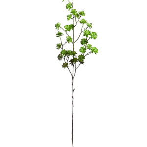 Echeveria kunsttak 100cm - groen
