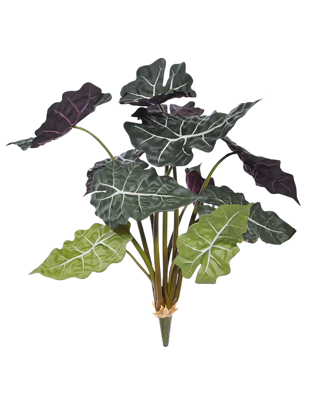 Red Alocasia kunstplant 65cm 1 Red Alocasia kunstplant 65cm