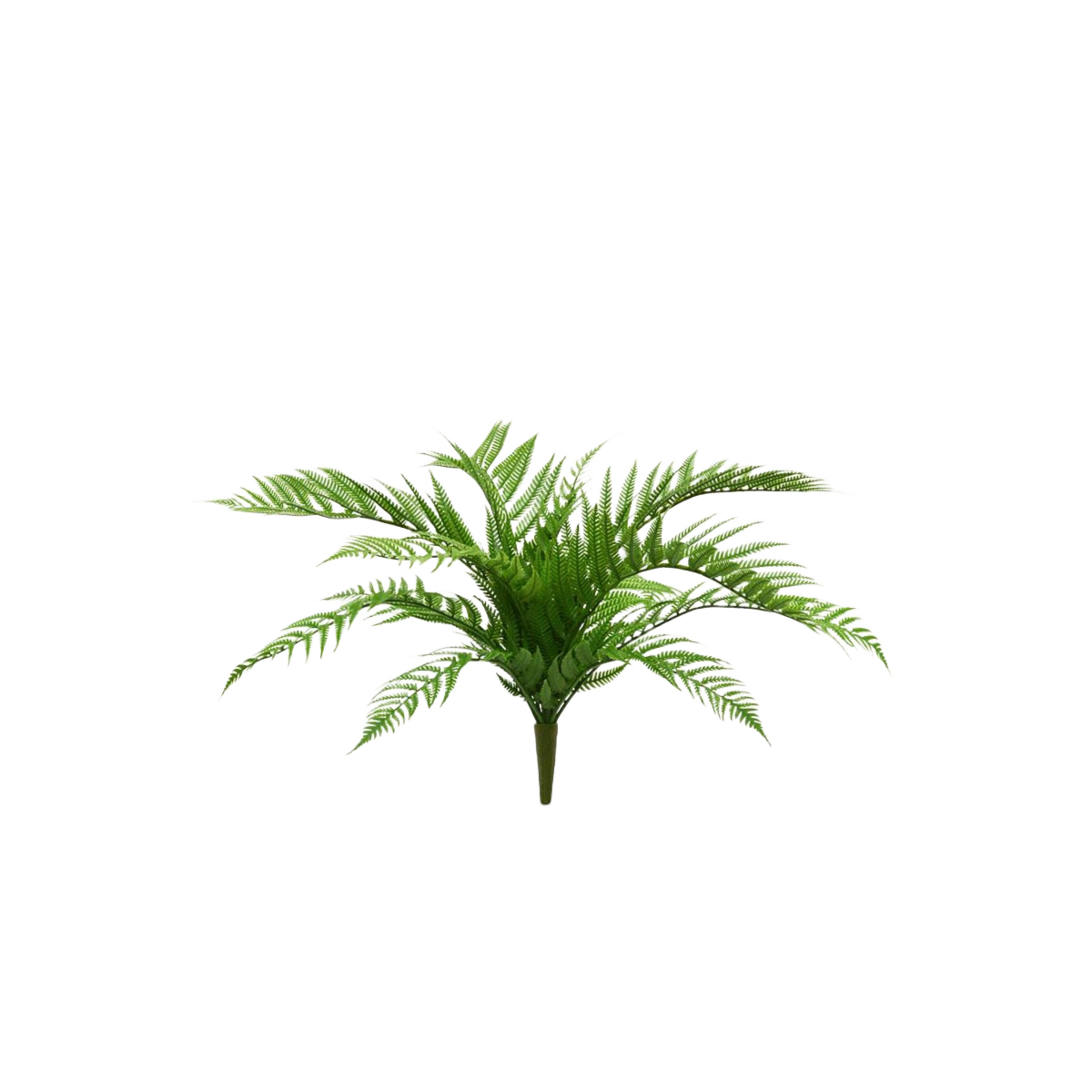 Alsophilla Varen kunstplant 60cm - UV bestendig 1 Alsophilla Varen kunstplant 60cm - UV bestendig