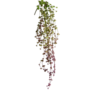 Erwten kunst hangplant 60cm - burgundy