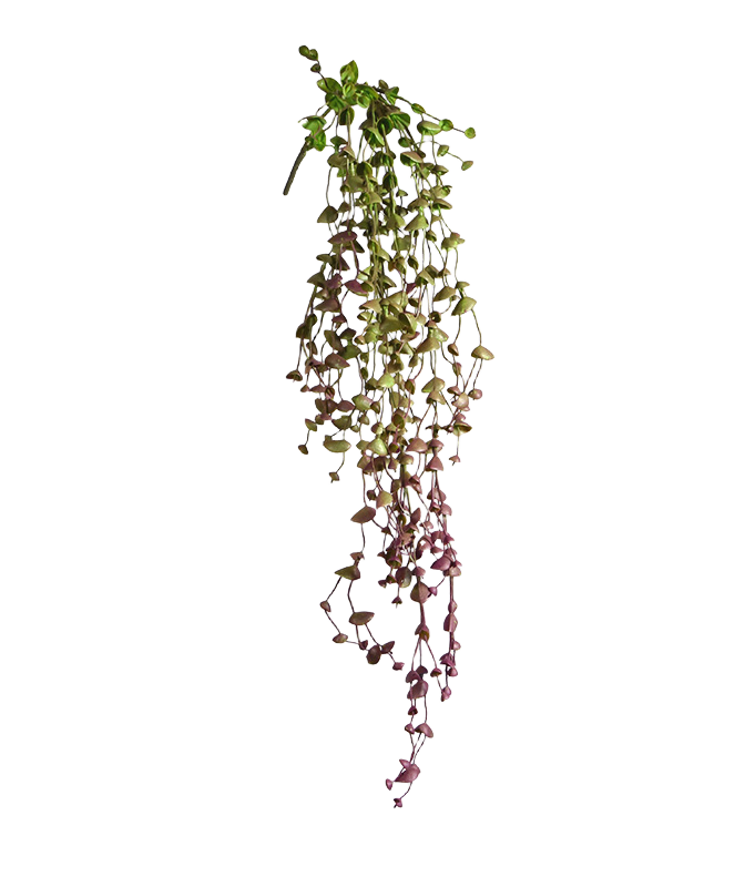 Erwten kunst hangplant 60cm - burgundy 1 Erwten kunst hangplant 60cm - burgundy
