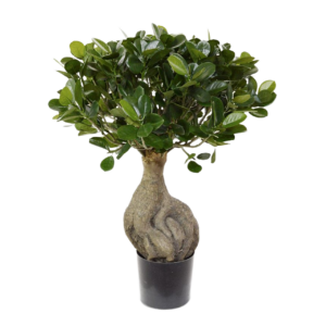 Panda Bonsai kunstboom 55cm