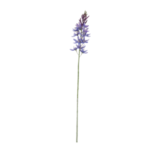Camassia Kunsttak Paars 61cm